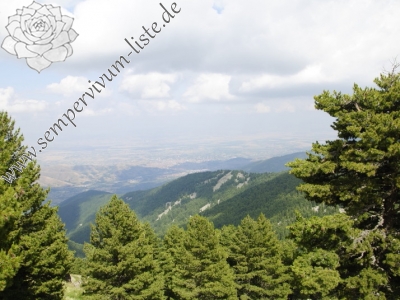 Reisebericht: Izvidnica, Aussichtsturm