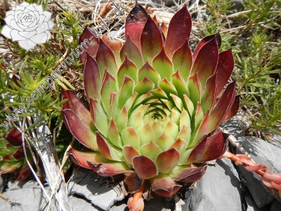 Reisebericht: Mt. Velebit