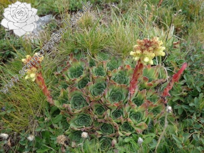 Reisebericht: Hridski krš 2