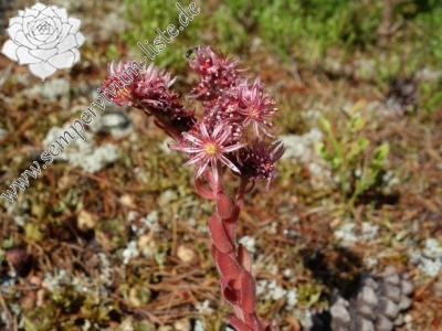 Reisebericht: Hridski jezero