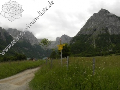 Reisebericht: Valušnica (Mitte) 1