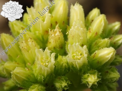 Reisebericht: Žiar nad Hronom