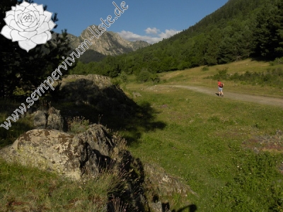 Reisebericht: Sant Maurici, Brücke