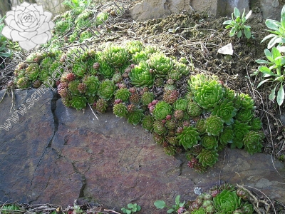 Reisebericht: Chrást u Plzně