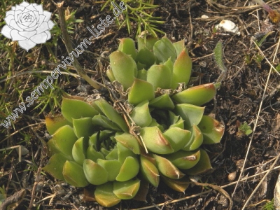 Reisebericht: Ćurovac, Aussicht 2