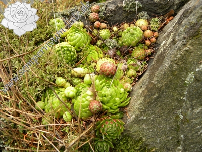 Reisebericht: Fluss Teplá, PR Údolí Teplé
