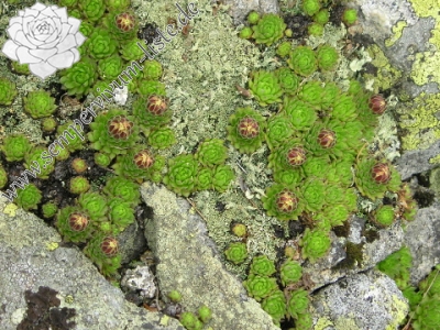 Reisebericht: Veľká hoľa