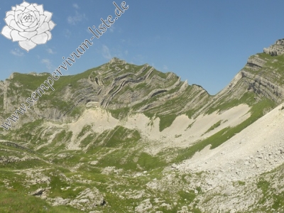 Reisebericht: Bobotov Kuk, Abhang