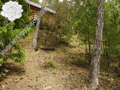 Reisebericht: Čerňovice (südöstl.)