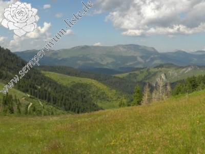 Reisebericht: Vreteno 1