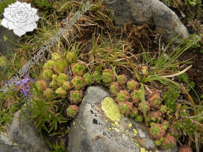Reisebericht: Port de Boucharo 2