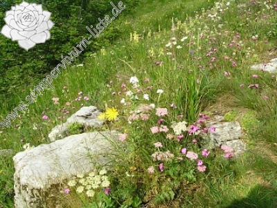 Reisebericht: Zvolen