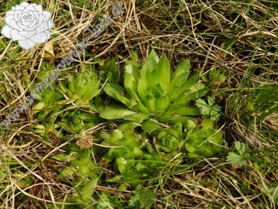 Reisebericht: Záhořský vrch