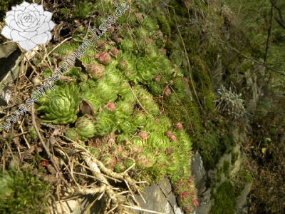 Reisebericht: Střela, Kralovický potok