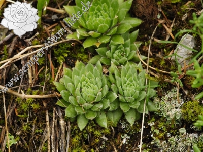 Reisebericht: Stratená, unter dem Dorf
