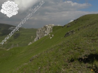 Reisebericht: Stogovo planina