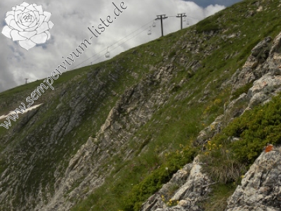 Reisebericht: Popova Shapka 1