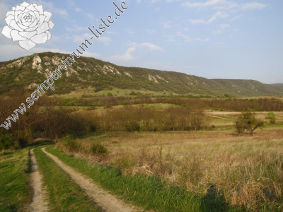 Reisebericht: Kesztölc, Kétágú-hegy 2