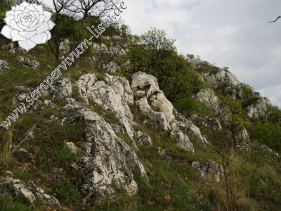 Reisebericht: Kesztölc, Kétágú-hegy 1