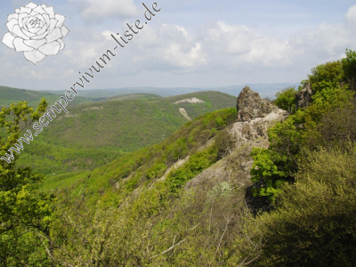 Reisebericht: Vadálló-kövek 1