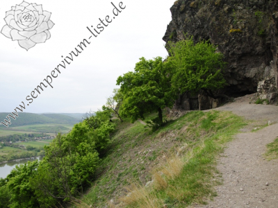 Reisebericht: Szent Mihály-hegy SW