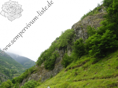 Reisebericht: Çatak, bei dem Dorf