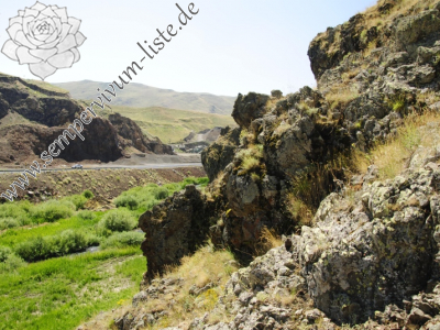 Reisebericht: Karagöbek, S