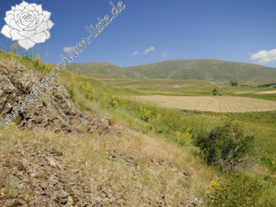 Reisebericht: Karagöbek, S 2