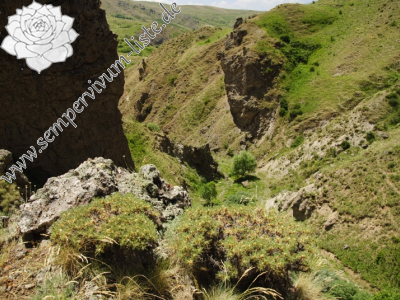 Reisebericht: Yukari Sivri, NO