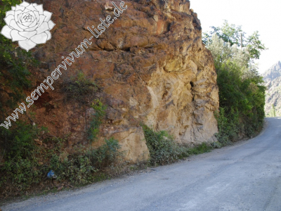 Reisebericht: Yusufeli, 7 km N