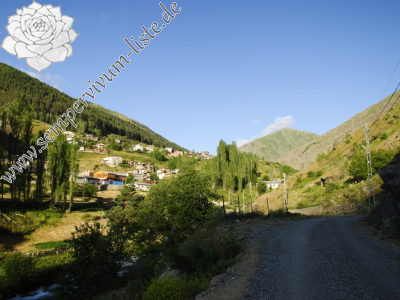 Reisebericht: Yaylalar, NO Rand