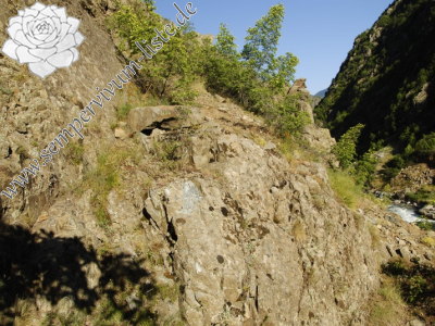 Reisebericht: Sarigöl, 3 km NW