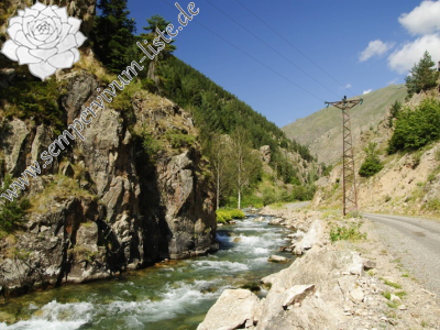 Reisebericht: Yaylalar, 4 km O, 2