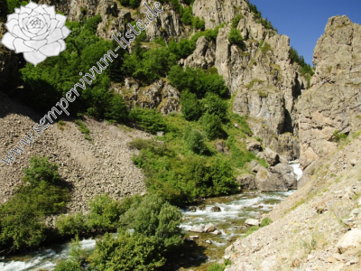 Reisebericht: Yaylalar, 4km O