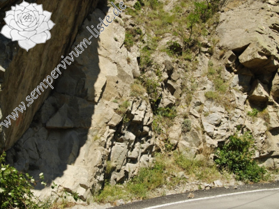 Reisebericht: Barhal, 5,5 km NO