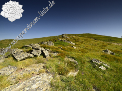 Reisebericht: Kajmakčalan, SO Abhang, 1