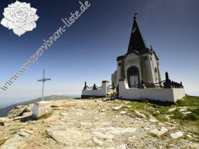 Reisebericht: Kajmakčalan, Gipfel