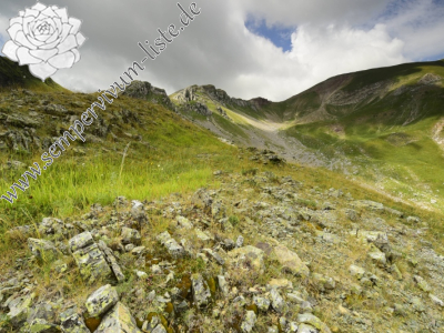 Reisebericht: Matsouki, N