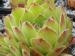 Excelence