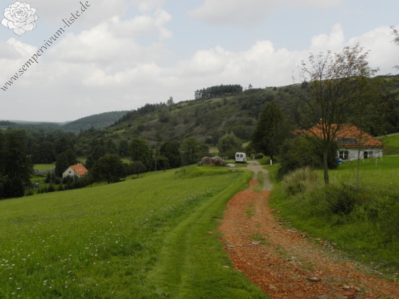 globiferum ssp. globiferum from Kamenec (Süd 2)
