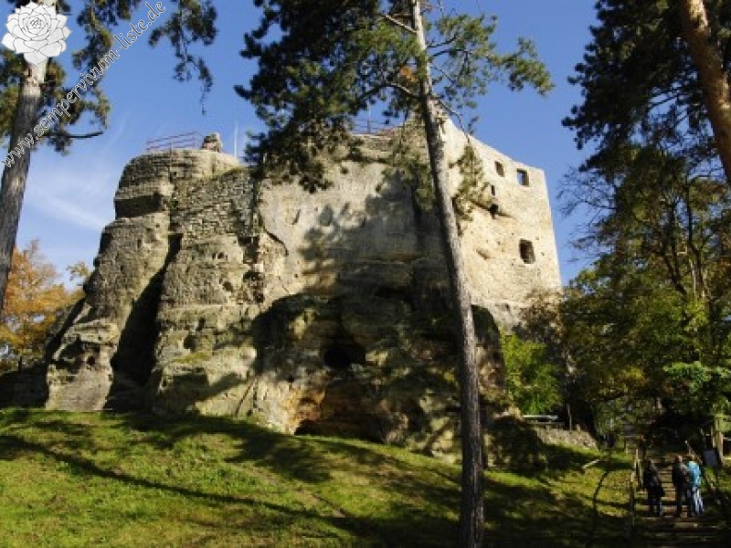 globiferum ssp. globiferum from Boseň, Burg Valečov