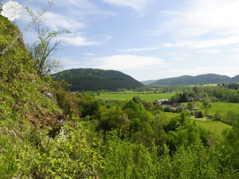 globiferum ssp. globiferum from Sušice, über der Tankstelle