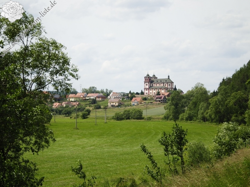 globiferum ssp. globiferum from Straße Chyše nach Čichořice
