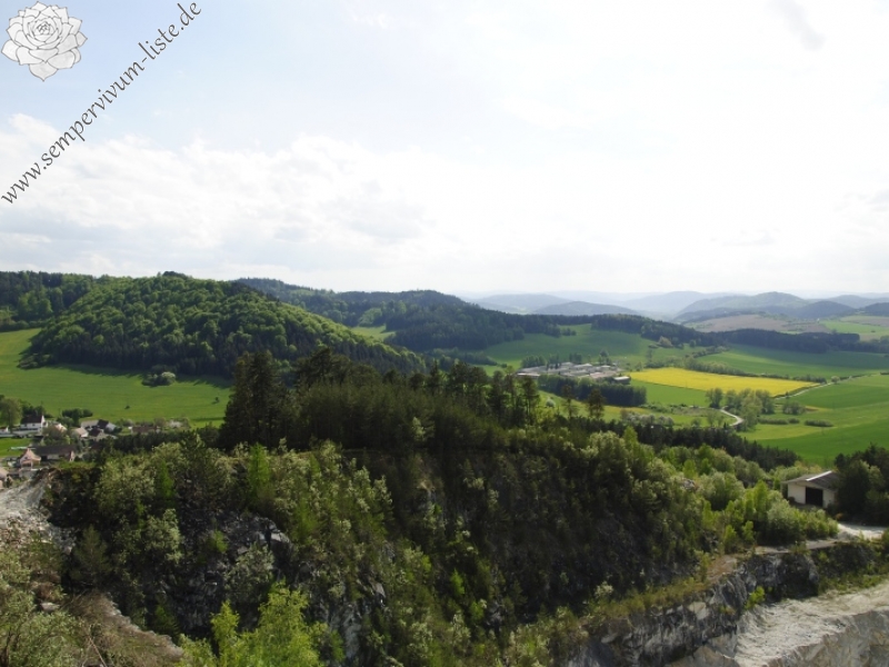 globiferum ssp. globiferum from Hejná, Radvanka