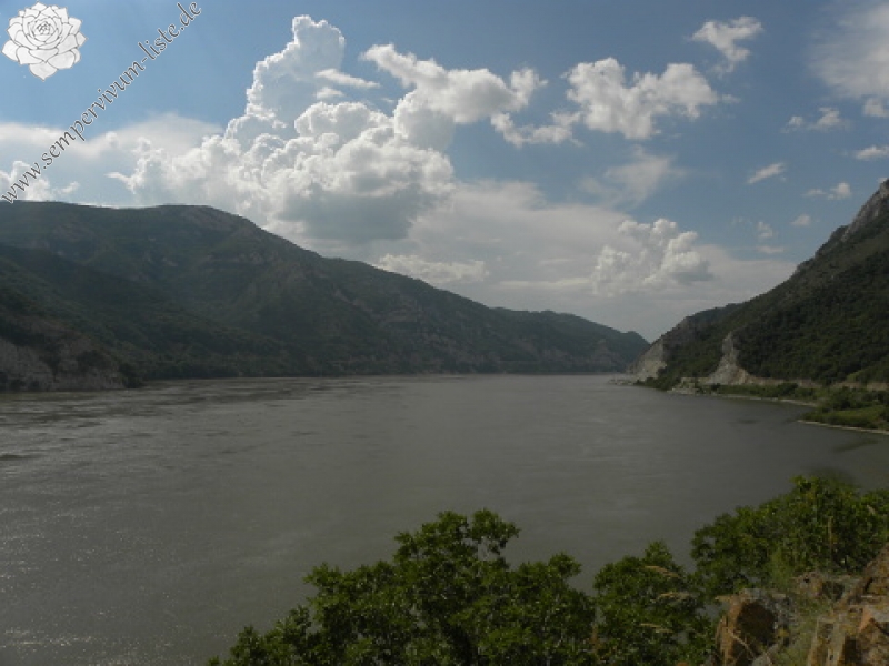 sp. from Cozla (südl.)