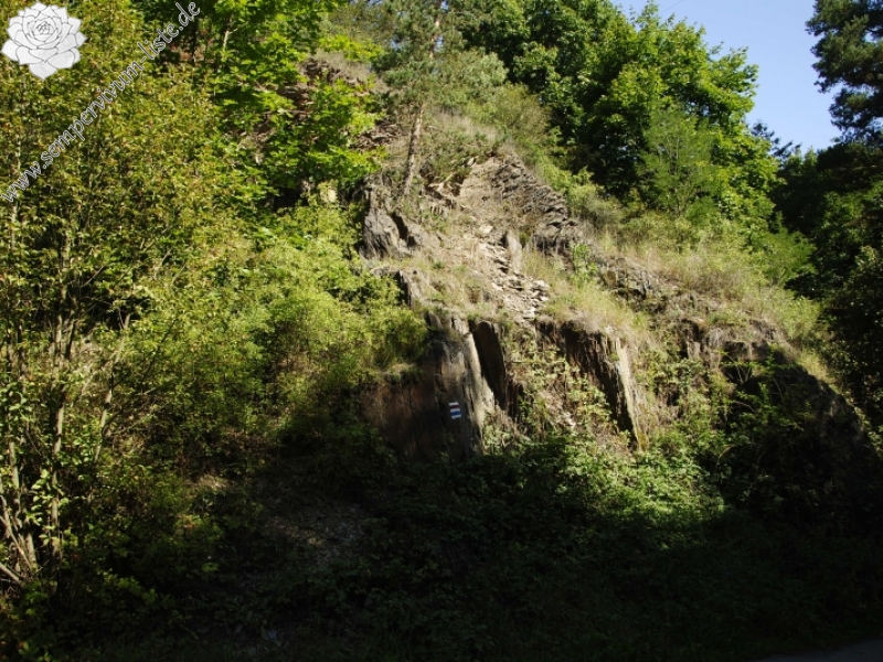 globiferum ssp. globiferum from Manětín, Vuršův mlýn