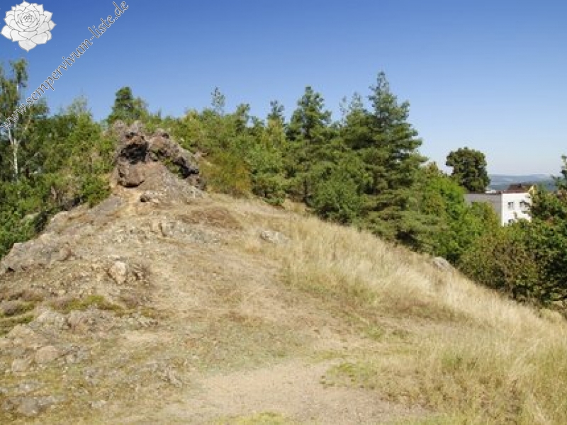 globiferum ssp. globiferum from Hudlická skála
