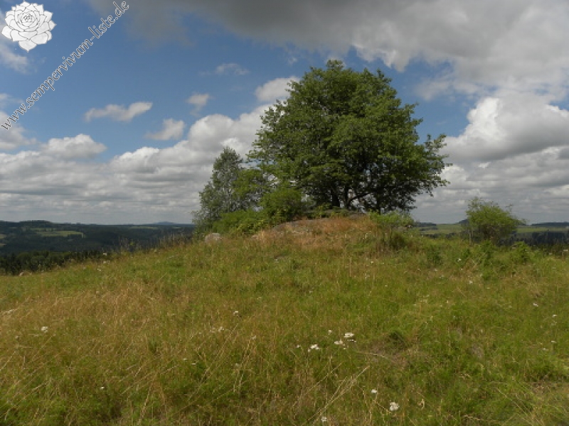 globiferum ssp. globiferum from Sepuska