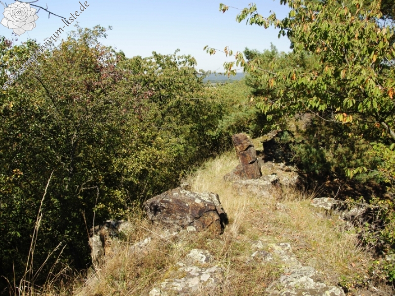 globiferum ssp. globiferum from Statíková skála