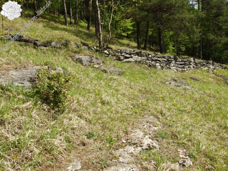 globiferum ssp. globiferum from Čepice, NO